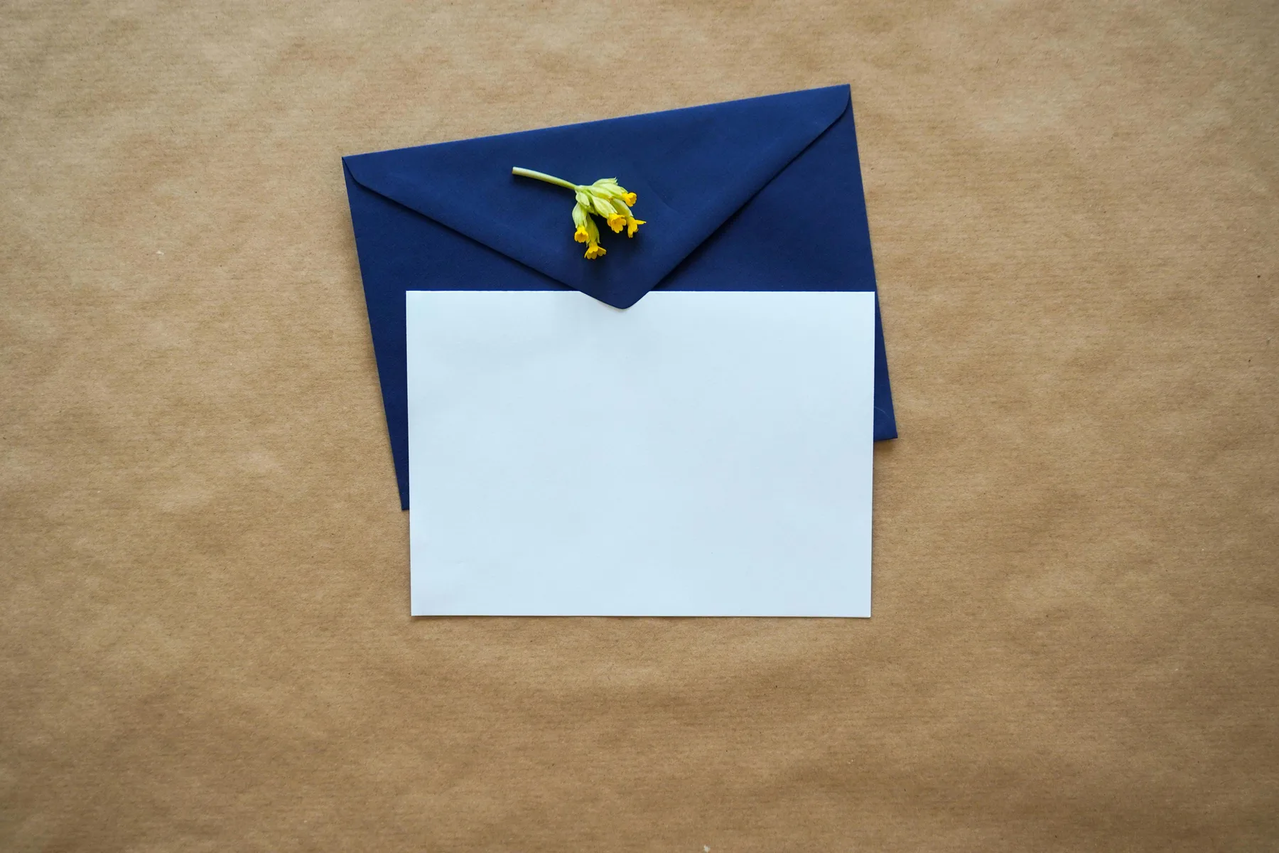 A sealed envelope resting on a plain surface